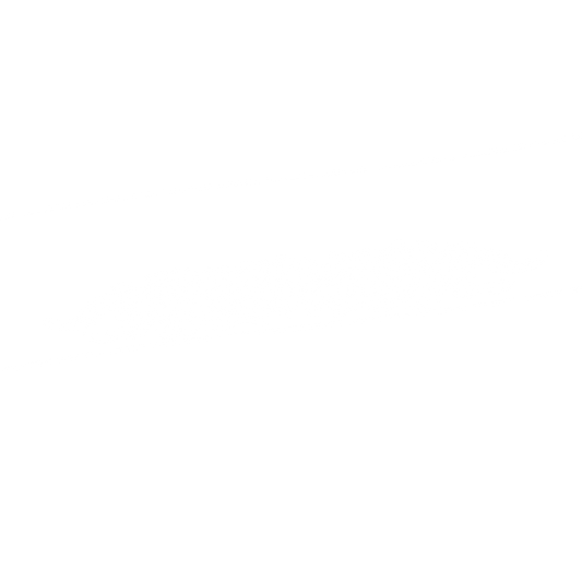 [SUNSTRIP] "SPIKE STYLE"