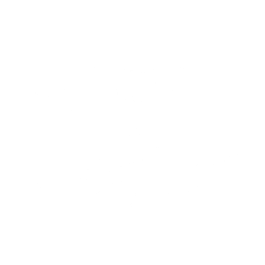 "SPIKE TRIBAL" STICKER SET