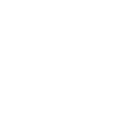 "ANARCHY" STICKER