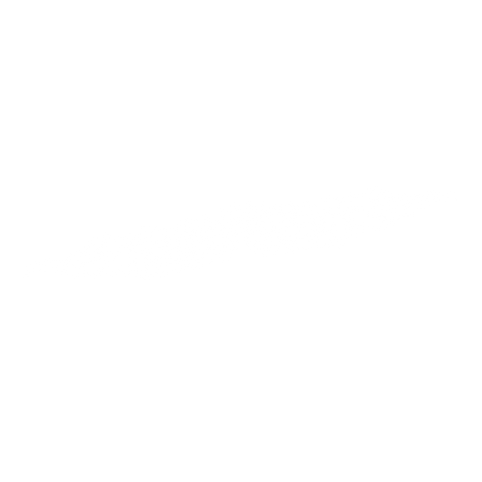 [BANNER] "FLAME STYLE"