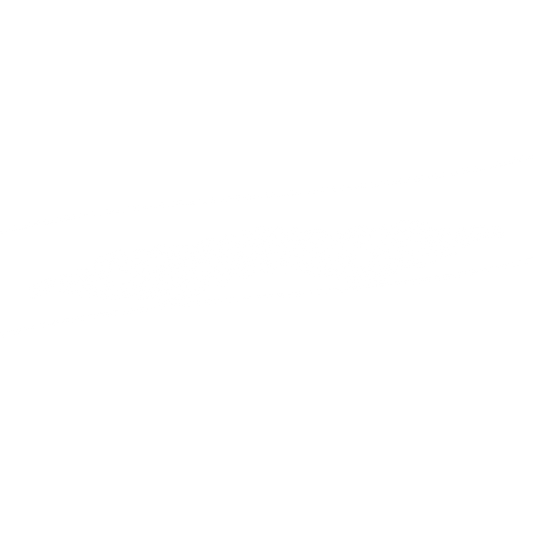 [SUNSTRIP] "FLAME STYLE"